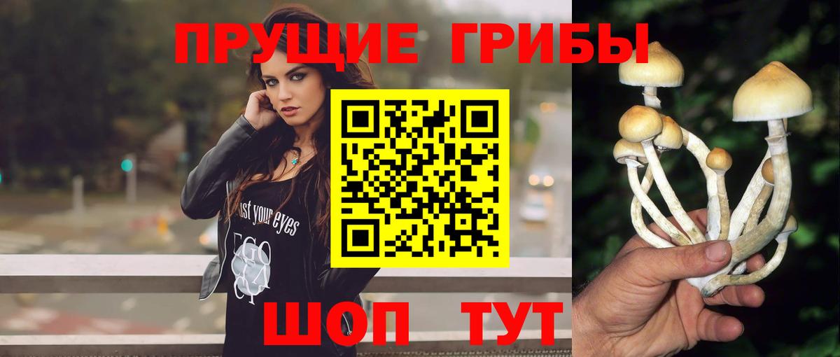 Керчь  Псилоцибиновые грибы ЛСД  Вход с VPN 